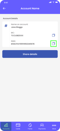 A screen from the Fire Personal app showing the Account details for a Euro Account