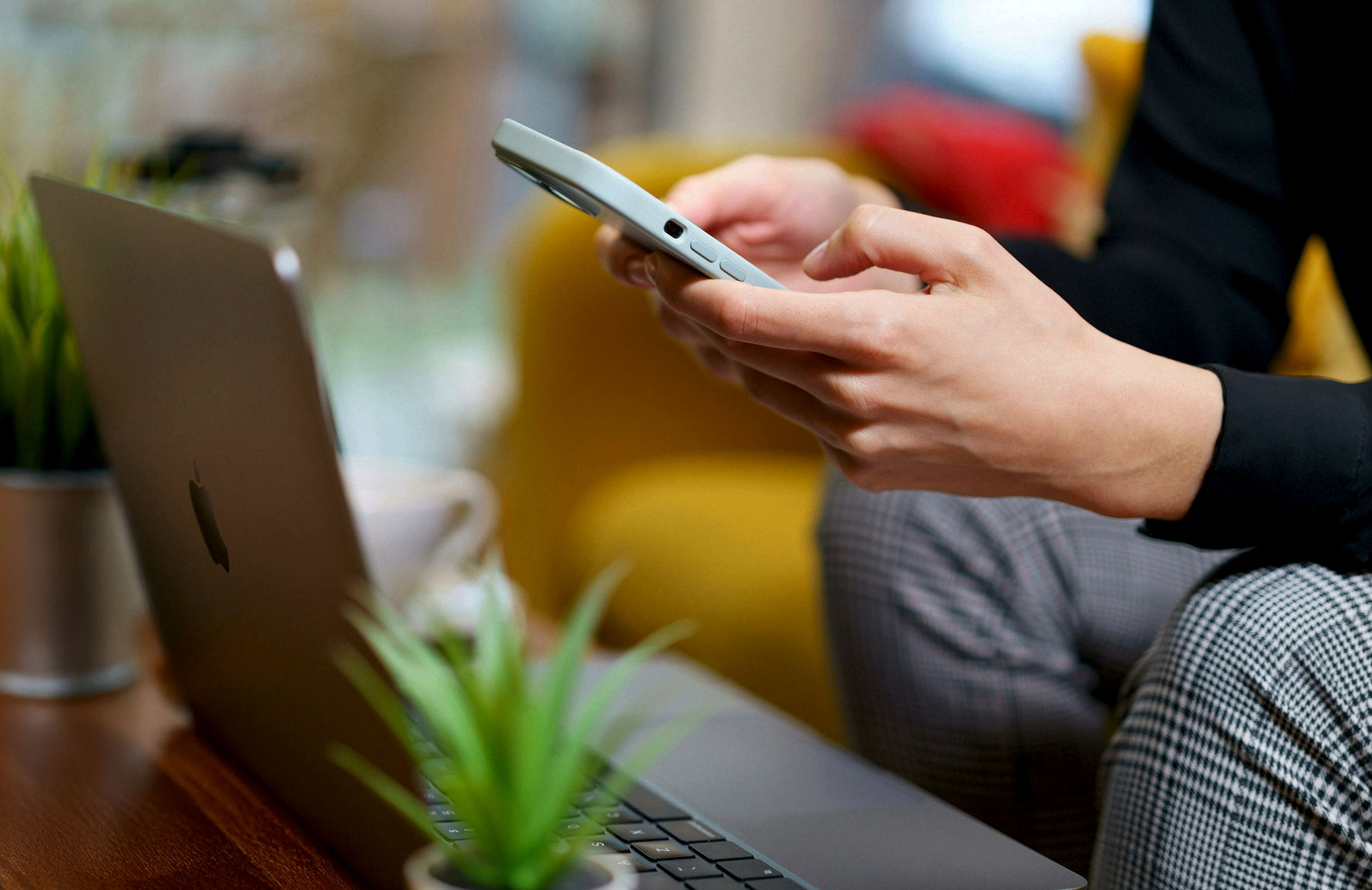 Person sitting, holding a mobile phone while cross-checking information on a laptop, with plants nearby.