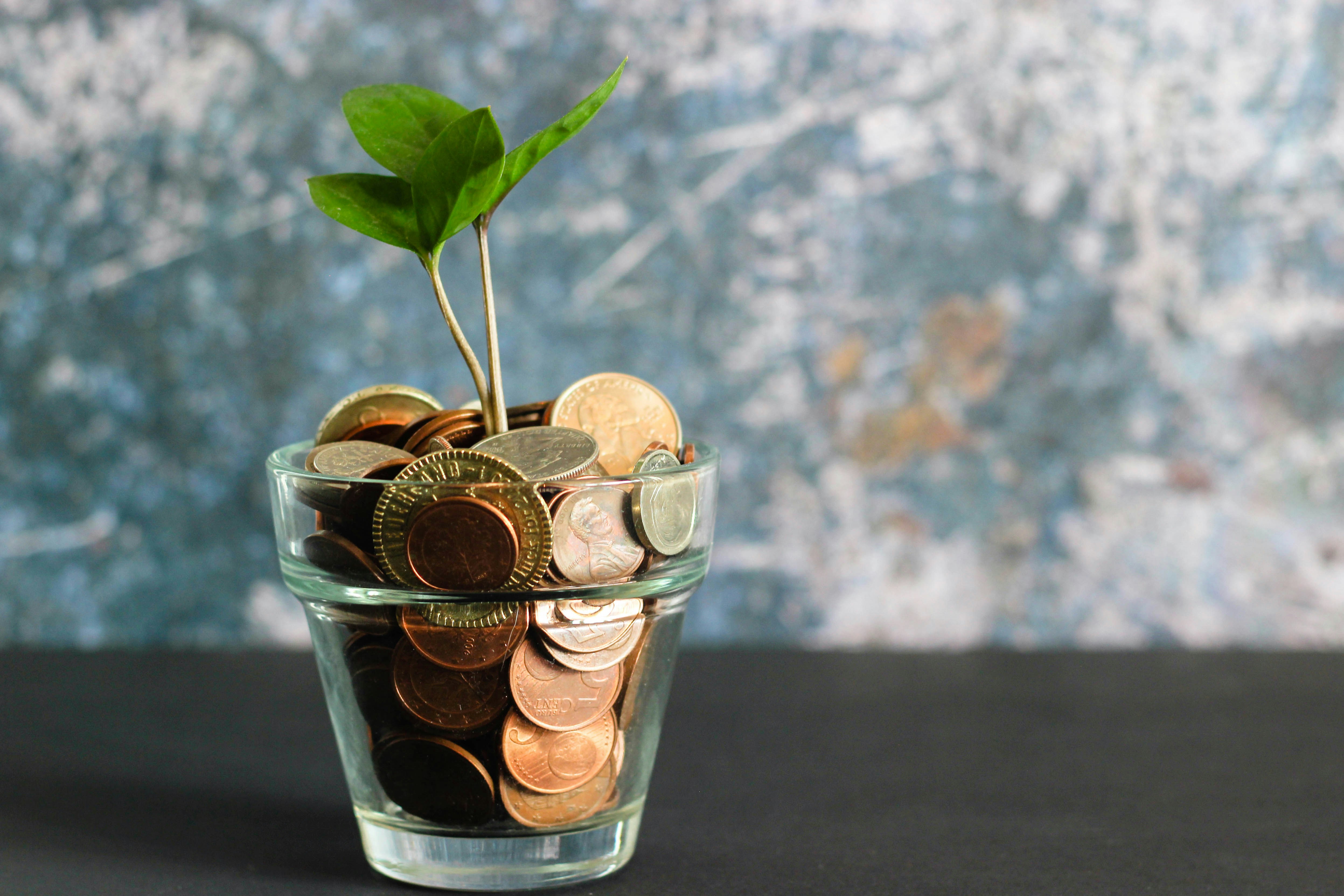 Small green plant sprouting from a glass jar filled with assorted euro coins against a textured background.